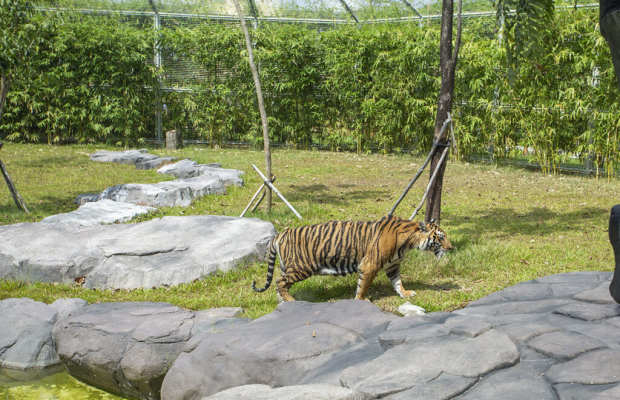 Angkor Wildlife & Aquarium with Private Transfer